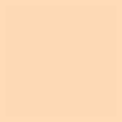 Matt Look Bare Canvas Hydra Glow Foundation - Peach Glow-05 (30 ml)