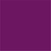 Half N Half Vintage Matte Non-Transfer Lipstick - Grape Royale-10 (3.8 g)
