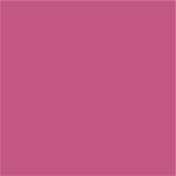 Half N Half Vintage Matte Non-Transfer Lipstick - Miss Mauve-12 (3.8 g)