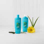 ALFAPARF Alta Moda Conditioner Detox Purify (300 ml)