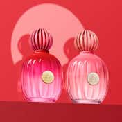 Banderas The Icon Splendid Eau de Parfum (100 ml)