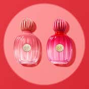 Banderas The Icon Splendid Eau de Parfum (50 ml)