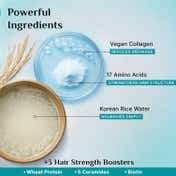 Pilgrim Korean Rice Water & Collagen Advanced Damage Repair Shampoo (200 ml)