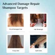 Pilgrim Korean Rice Water & Collagen Advanced Damage Repair Shampoo (400 ml)