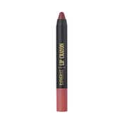 Insight Cosmetics Lip Crayon - Toasted Mauve (7 g)