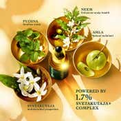 Indulekha Svetakutuja Dandruff Treatment Ayurvedic Hair Serum (30 ml)