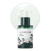 Round Lab Pine Calming Cica Ampoule (30 ml)