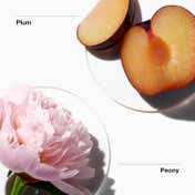 CLINIQUE My Happy Peony Picnic Perfume Mist (15 ml)
