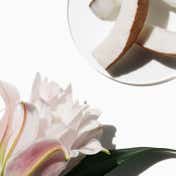 CLINIQUE My Happy Lily of The Beach Perfume Mist (15 ml)