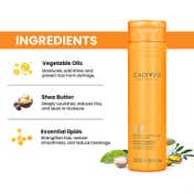 Cadiveu Nutri Glow Sulfate Free Shampoo (250 ml)
