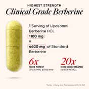 Wellbeing Nutrition'S Slow Liposomal Berberine HCL+ 1100mg (60 Capsules)