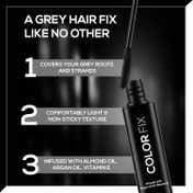 RENEE Color Fix Instant Hair Touch Up Stick - Black (15 ml)