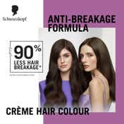 Schwarzkopf Color Specialist At Home Permanent Hair Color - 5.1 Cool Light Brown (165 ml)