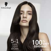 Schwarzkopf Color Specialist At Home Permanent Hair Color - 5.1 Cool Light Brown (165 ml)