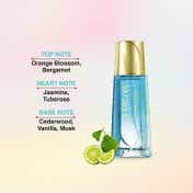 Secret Temptation Daisy Perfume (30 ml)