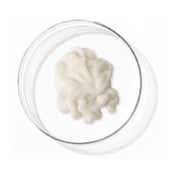Biotop Professional 911 Conditioner Quinoa (500ml)