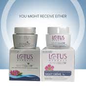 Lotus Herbals Whiteglow Skin Whitening & Brightening Nourishing Night Creme - (60g)