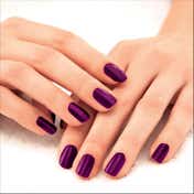 Lakme Absolute Gel Stylist Nail Color - Poison (12 ml)