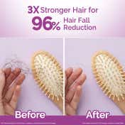 Mamaearth Rosemary Anti-Hair Fall Shampoo With Rosemary & Methi Dana (250ml)