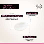 Deconstruct Ectoin & Ceramides Acne Control Moisturiser (50 g)