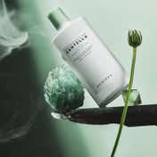 SKIN1004 Madagascar Centella Tea-Trica Soothing Sun Milk (50 ml)