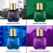 Wild Stone Premium Perfume Gift Set- Hero, King, Chief, Boss EDP (4 Pcs)