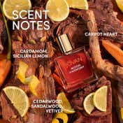 Jovan Wood Harmony Eau De Parfum Unisex Perfume (100 ml)