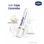 Vaseline Lip Therapy Serum Infused Derma Protection Lip Balm with Triple Ceramides Shea Butter (3 g)