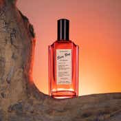 Jeanne Arthes Sexy Boy Essence Eau De Toilette (100 ml)