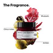 L'OREAL PROFESSIONNEL Vitamino Color Spectrum Mask (250 ml)