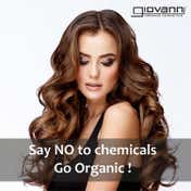 Giovanni 2Chic Frizz Be Gone Shampoo (250 ml)