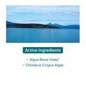 Thalgo Intensive Hydrating Cream (50 ml)