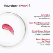 WishCare Tinted Ceramide Lip Balm for Dark Pigmented Lips with SPF50 PA+++ Heals Chapped Lips (5 g)