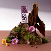 SOLINOTES Bois de Oud Eau de Parfum (15 ml)
