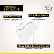 Deconstruct Brightening Serum With 10% Niacinamide Serum With 0.3% Alpha Arbutin (30 ml)