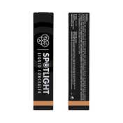 PAC Spotlight Liquid Concealer Full Coverage Self Setting Creaseproof - 10 Mocha (15 g)
