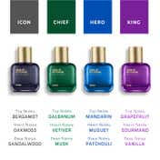 Wild Stone Premium Perfume Gift Set- Hero, King, Chief, Boss EDP (4 Pcs)