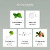 Abib Acne Foam Cleanser Heartleaf Foam (150 ml)