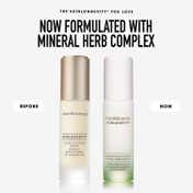 bareMinerals Skinlongevity Barrier Boosting Serum (50 ml)