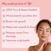 WishCare 100% Pure Rosemary Essential Oil Reduces Hairfall and Boosts Hair Growth (15 ml)