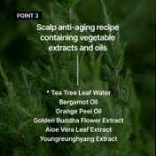 CURLYSHYLL Revitalizing Treatment for Scalp & Hair (100 ml)