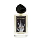 Secret Alchemist Signature Line Fresh Vetiver Perfume for Men (100 ml)