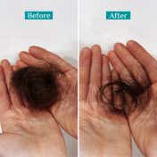 Pilgrim Spanish Rosemary & Biotin Anti-Hairfall Shampoo For Reducing Hair Loss & Breakage (200ml)
