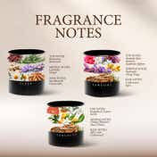 Seva Home The Vibes Classic Sleep Candle (3 Pcs)