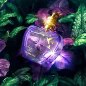 Jeanne Arthes Amore Mio Forbidden Fruit EDP (100 ml)