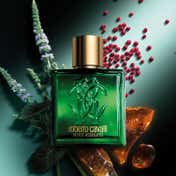 Roberto Cavalli Uomo Verde Assoluto Eau De Parfum for Men (100 ml)