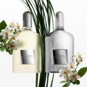 Tom Ford Grey Vetiver Parfum (100ml)