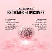 Dr. Sheth's Cica Exosomes & Vitamin C Glow Serum (30 ml)
