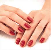 Lakme Absolute Gel Stylist Lip Liquid - Scarlet Red (12 ml)