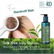 SH-RD Tea Tree Scalp Shampoo for Anti Dandruff and Itchy Scalp Relief (100 ml)